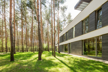 Modern house surrounded by trees