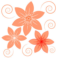Orange flowers on white background