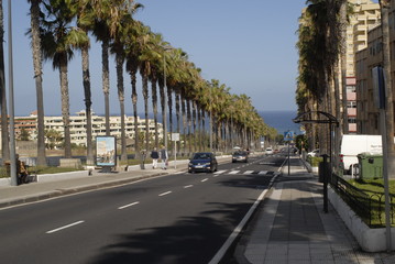 Teneriffa,Palmen,Meer,Blüten