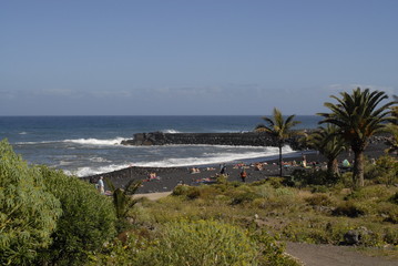 Teneriffa,Palmen,Meer,Blüten