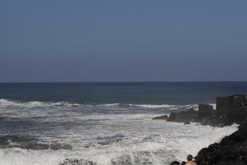 Teneriffa,Palmen,Meer,Blüten