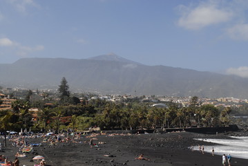 Teneriffa,Palmen,Meer,Blüten