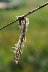 Knot in a rope on the background of green grass
