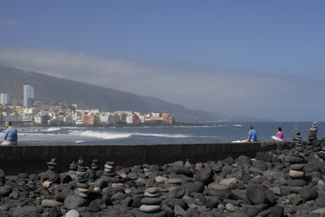 Teneriffa,Palmen,Meer,Blüten