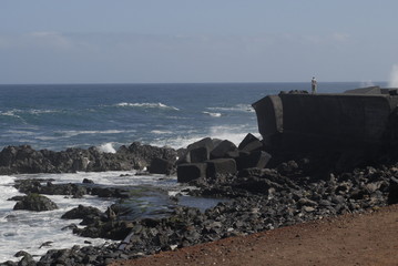 Teneriffa,Palmen,Meer,Blüten