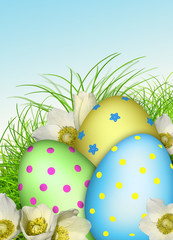 Easter card. Eggs, flowers, grass, 3d