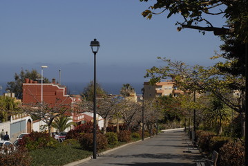 teneriffa,loro park,v&ouml;gel ,blumen,delfine