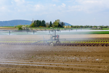 Acker bewässern mit Wasser aus Spritzmaschine im Frühling und Sommer vor der Ernte