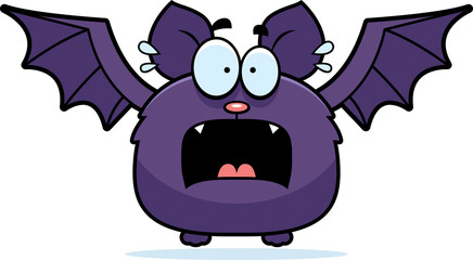 Terrified Little Bat
