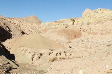 Fototapeta na wymiar Painted desert rocks