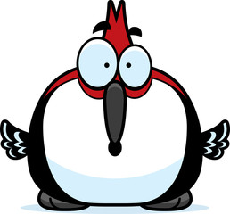 Surprised Little Woodpecker