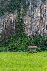Tranquil hut with the mountain background at Noen Maprang district of Phitsanulok Province, northern Thailand