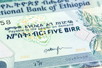 5 ethiopian birr note obverse detail