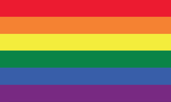 vector of rainbow flag or LGBT flag