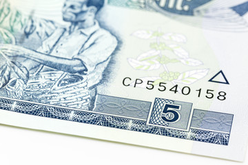 5 ethiopian birr note obverse detail