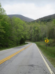 Winding roads