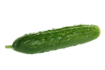 cucumber isolated