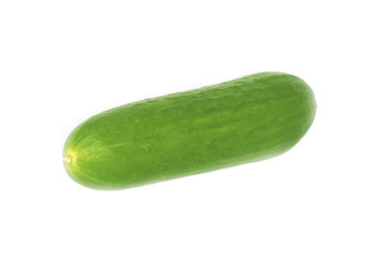 cucumber isolated