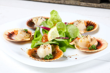 Noix de Saint Jacques