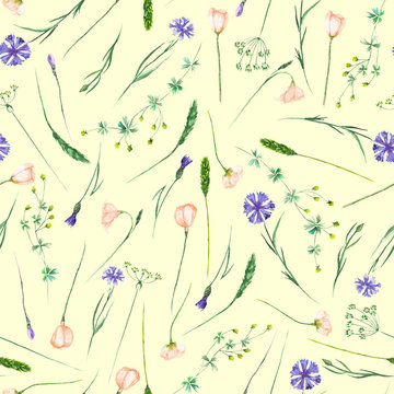 Seamless pattern with wildflowers, eustoma and cornflowers, hand drawn in watercolor on a light yellow background
