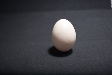 Egg standing on egg cup, isolated on white background