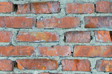 Fototapeta premium Texture of old brick wall.