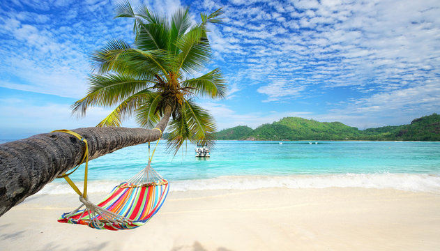Urlaubsfeeling - H&auml;ngematte am Strand