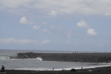 teneriffa,palmen,meer,blumen,