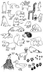 animals ilustration set