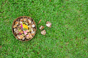 Canang sari is one of the daily offerings made by Balinese Hindus to thank the Sang Hyang Widhi...