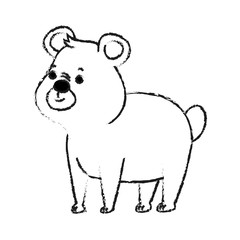 bear cute animal cartoon icon image vector illustration design  black sketch line