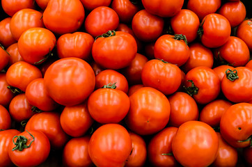 Fresh organic tomatoes sold on market