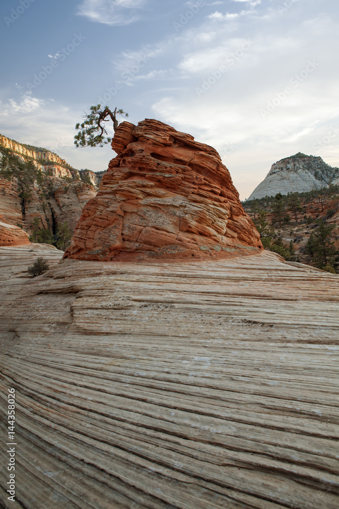 Wall mural view of nice giant rock in zion national park