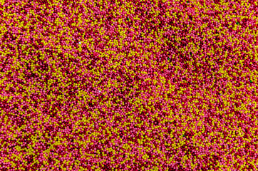 Multicolored background from sugar powder for Easter.