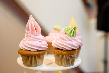 Multi-colored cream cup cakes