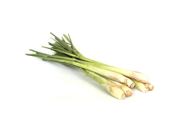 lemon grass bundle