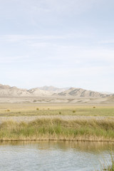 view of tecopa hot springs little pond in Mojave desert, Nenada