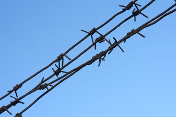 Barbed wire fence against the blue sky