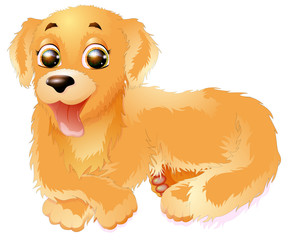 Obraz premium Golden Retriever vector illustration, isolated on white background.