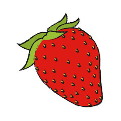 strawberry fruit icon image vector illustration design 