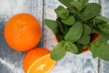 Citrus fruits and mint