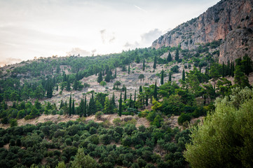 Fototapeta na wymiar Upper Central Greece, August 2015, Delphi ancient sanctuary - The Delphic Tholos