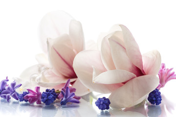 Fototapeta premium Set of spring flowers with magnolia