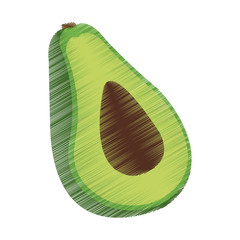 avocado vegetable icon image vector illustration design 