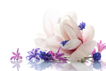 Fototapeta na wymiar Set of spring flowers with magnolia