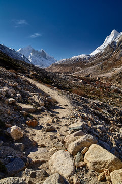 Country road in the mountains. Himalayas. Gangotri, Gaumukh, India..