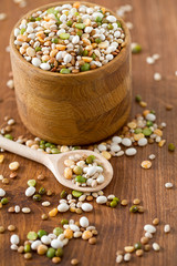 italian minestrone soup mixture