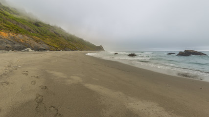 Beautiful beach in the fog. The overcast weather over the ocean. The cloudy sky. Redwood national and state parks. California, USA