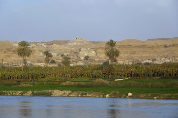 Nillandschaft zwischen Al-Minya und Beni Suef