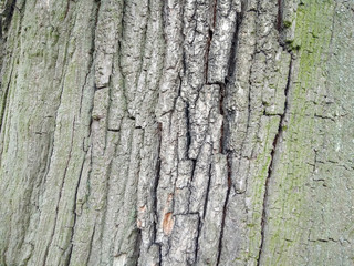texture